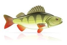 mořské plody pro pankreatitidu